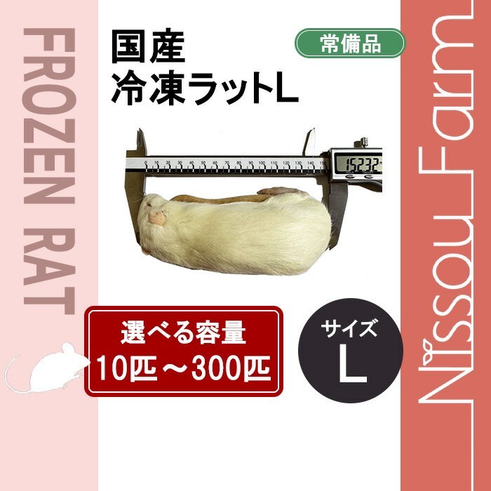 楽天市場】国産冷凍アダルトラットM @100〜120g 同梱可 即日発送