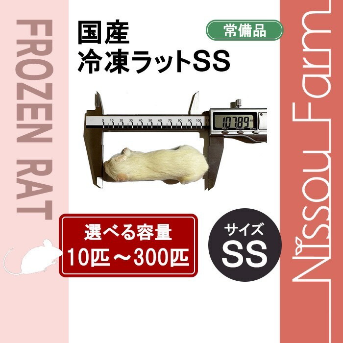 楽天市場】国産 冷凍ラット サイズ60 5匹 hangteng : hangteng