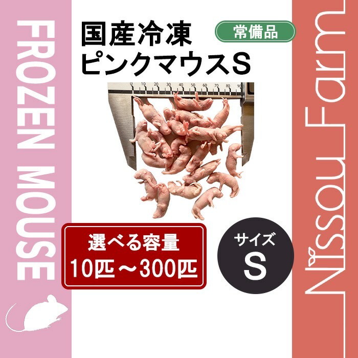 楽天市場】国産冷凍マウス ファジーL 即日発送 同梱可 選べる容量 10匹