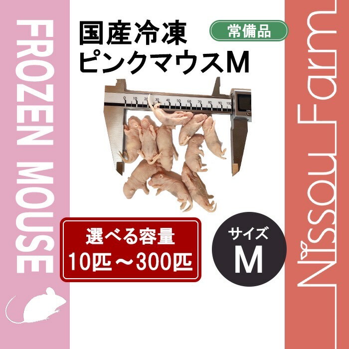 楽天市場】国産冷凍マウス ファジーL 即日発送 同梱可 選べる容量 10匹
