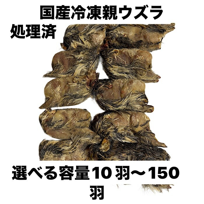 楽天市場】冷凍処理済みウズラ 60羽 10羽入り6袋 フクロウ