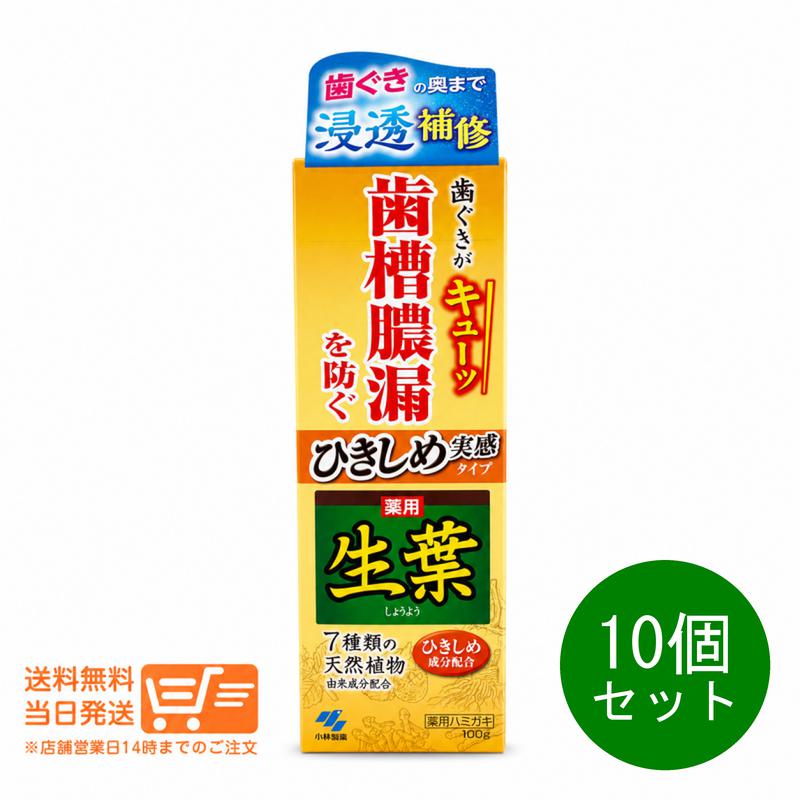 文芸評論引き換え証100円 10個仕かける 小林製薬 ひきしめ生葉 100g 歯磨粉 歯周病 口臭止めることハミガキ オーラルケア