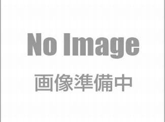 ACプライマー　18kg／缶　レゾナック建材　昭和電工｜日曜左官エムケー工芸 店
