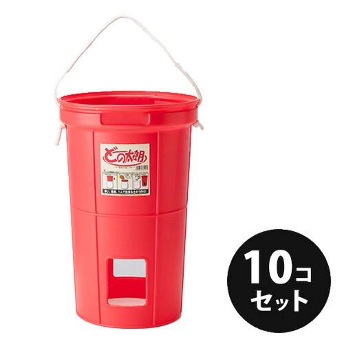 どの太郎  10個／荷造り  木鼠興業