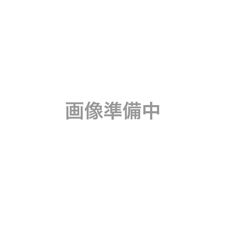 アサヒキャスター CA-16　25kg／袋 AGCセラミックス株式会社
