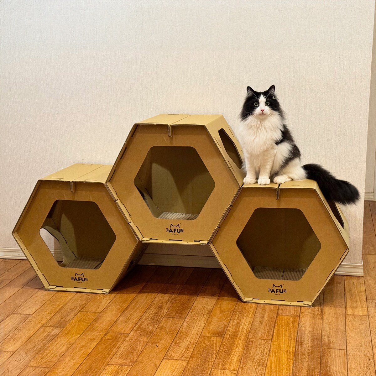 楽天市場】緑の屋根のキャットハウスTAN-821 キャットハウス