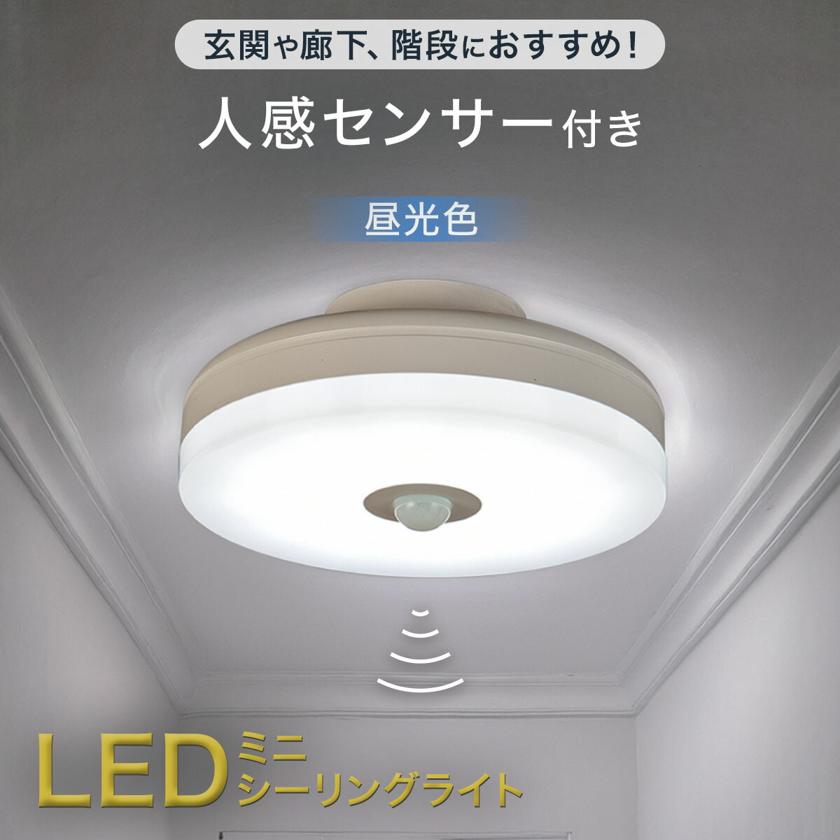 楽天市場】LEDシーリングライト (ミアナ 8畳用) ニトリ 【玄関先迄納品