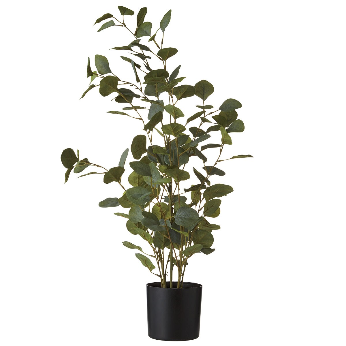 楽天市場】フェイクグリーン(HAC222263) ニトリ 【玄関先迄納品