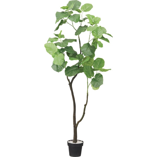 超爆安即出荷 Ql グリーン ウンベラータ ニトリ 玄関先迄納品 おしゃれ インテリアファブリック フェイクグリーン 人工観葉植物 造花 スーパーセール期間限定