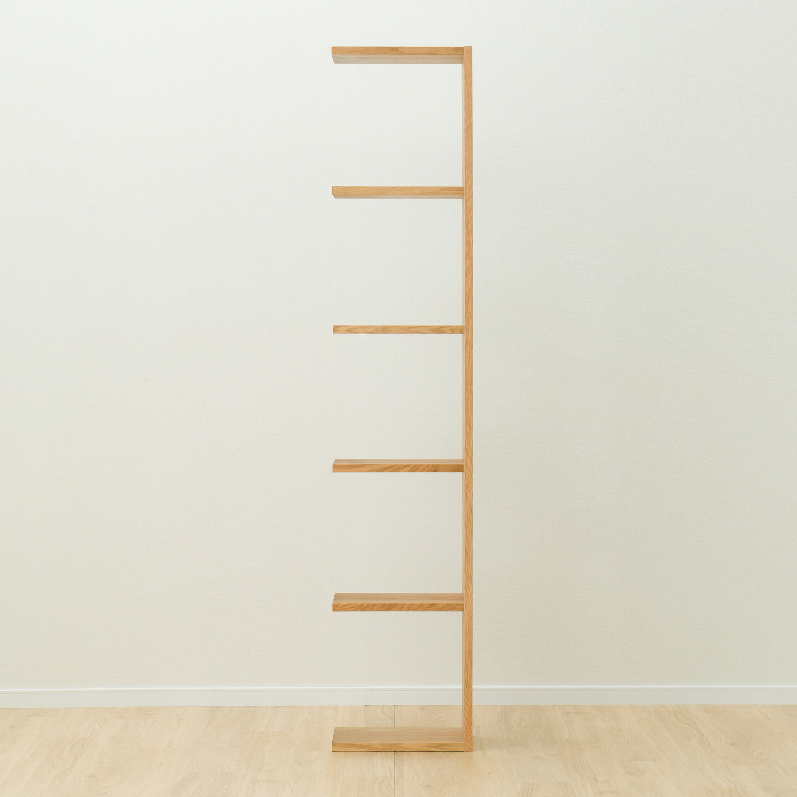 幅41cm 壁面単一のもの 添えもの組み シェルフ コネクト 5ダン リビング格納 シェルフ 附き 収納 ニトリ 木戸此の先迄納品 5歳次裏付 Prescriptionpillsonline Is