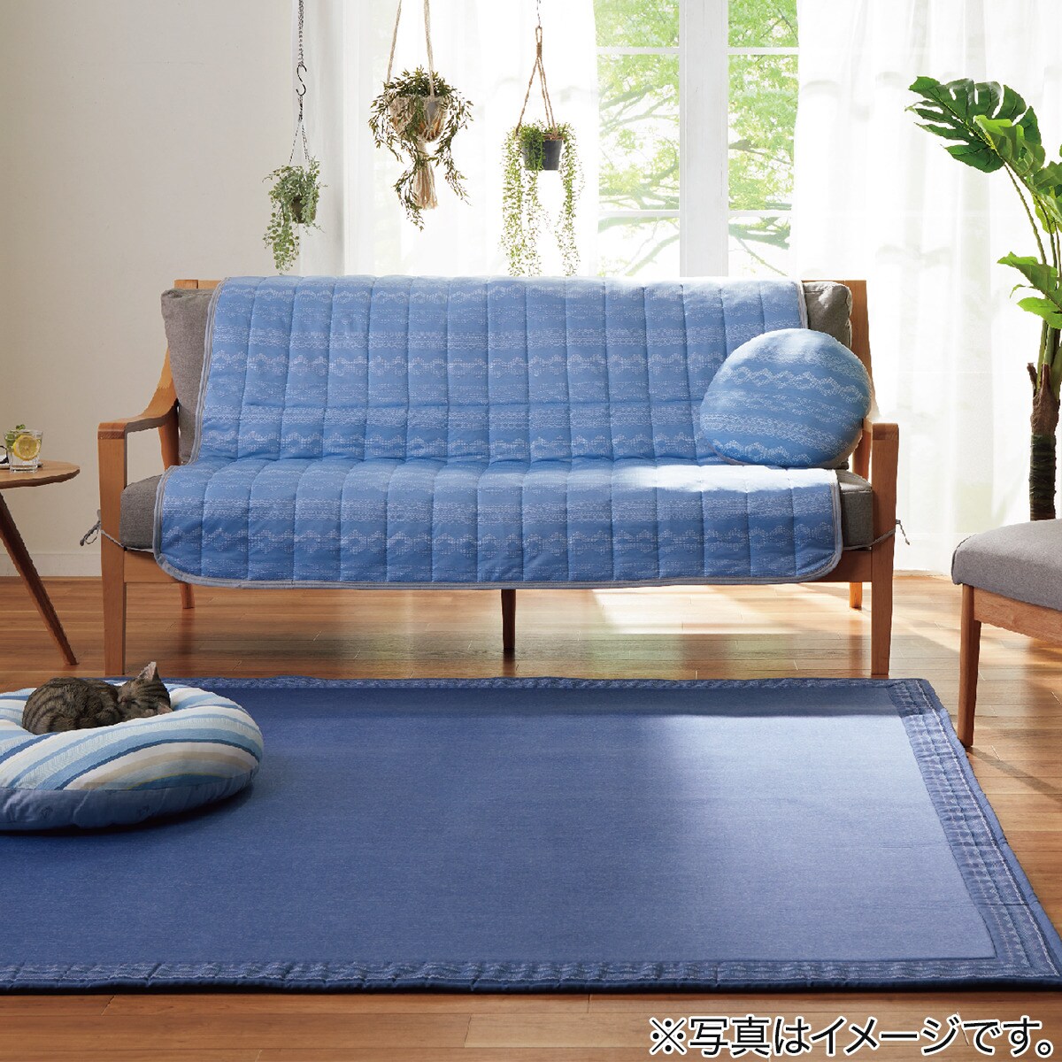 低背反ウレタン値段交際冷感カーペット N冷淡spジオi Nnv 0x240 ニトリ 上がり端先っちょ迄納品 1年算確信 総和金がさ輪以上貨物輸送無料対象商売物 Cannes Encheres Com