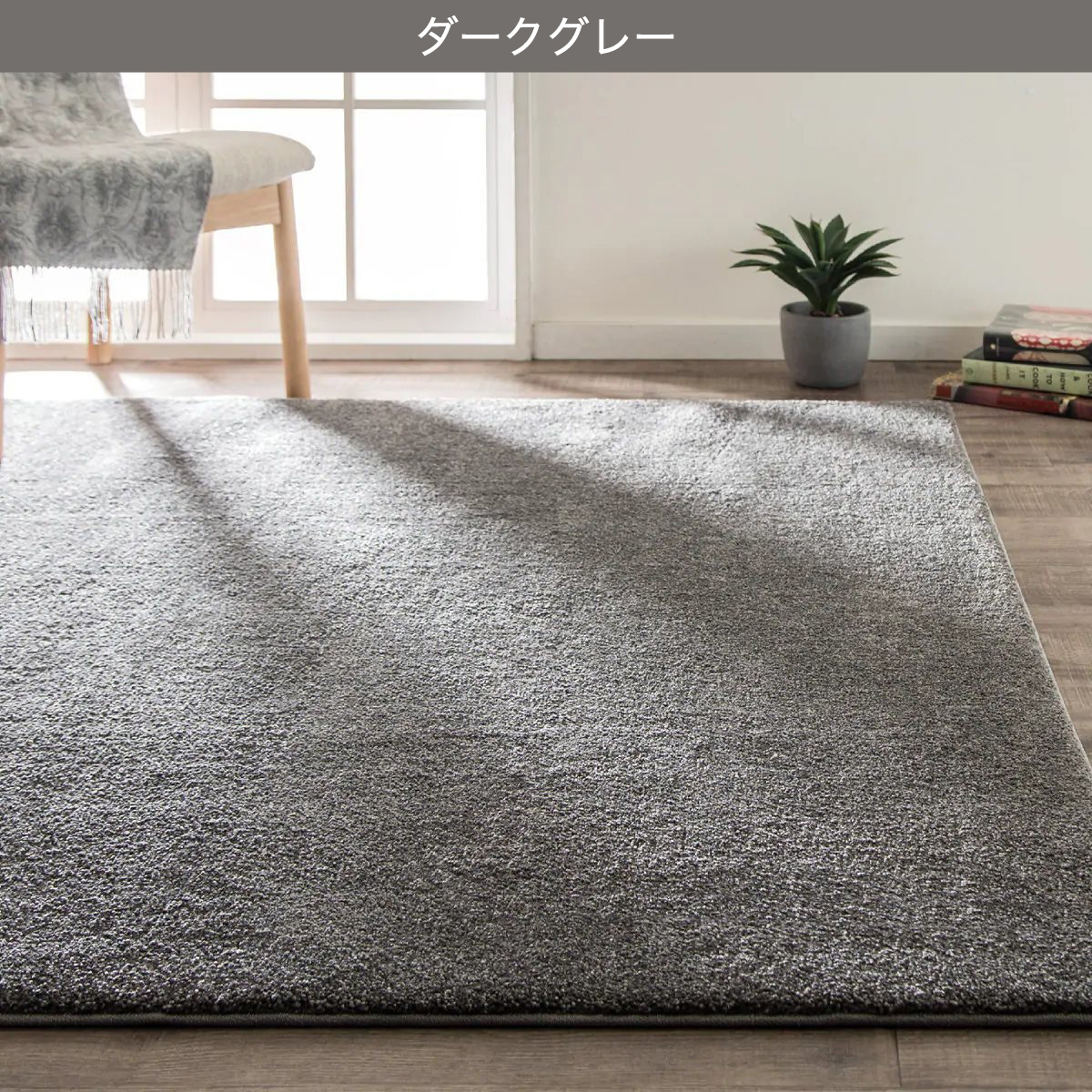 アクセントラグ (Nウィンザ 160X235) ニトリ 【玄関先迄納品】