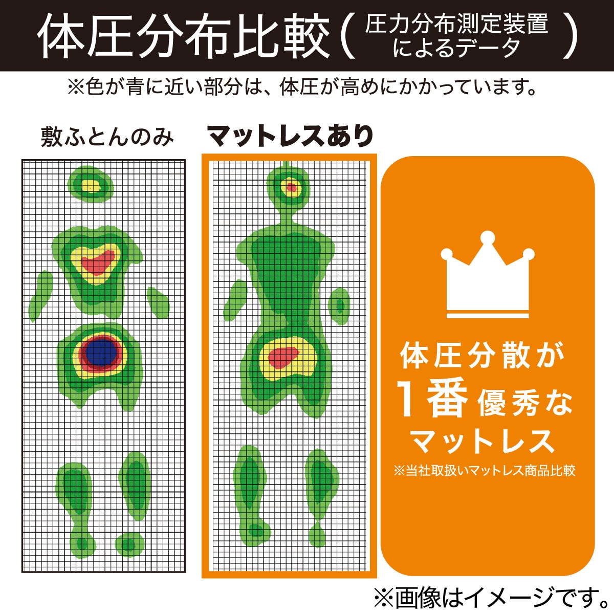 SS限定○エントリーでポイント5倍】腰を支えるマットレス シングル