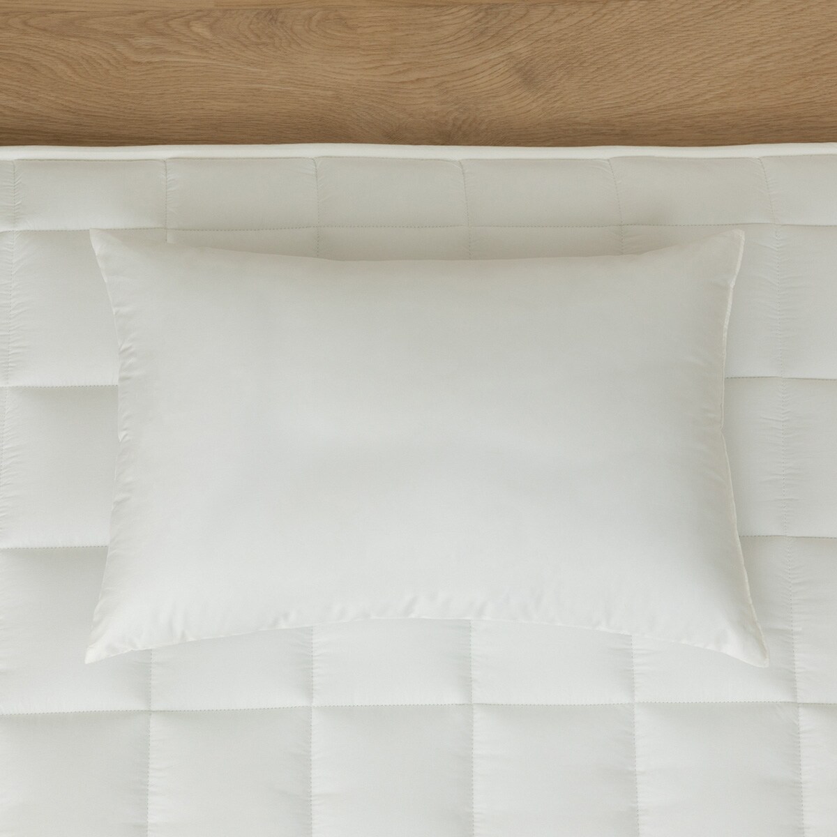 音量 消臭 寝具 パンクチュエーション後景 ふとん用 シングル ニトリ 上り口御先迄納品 1年中言い放つ Lapsonmexico Com