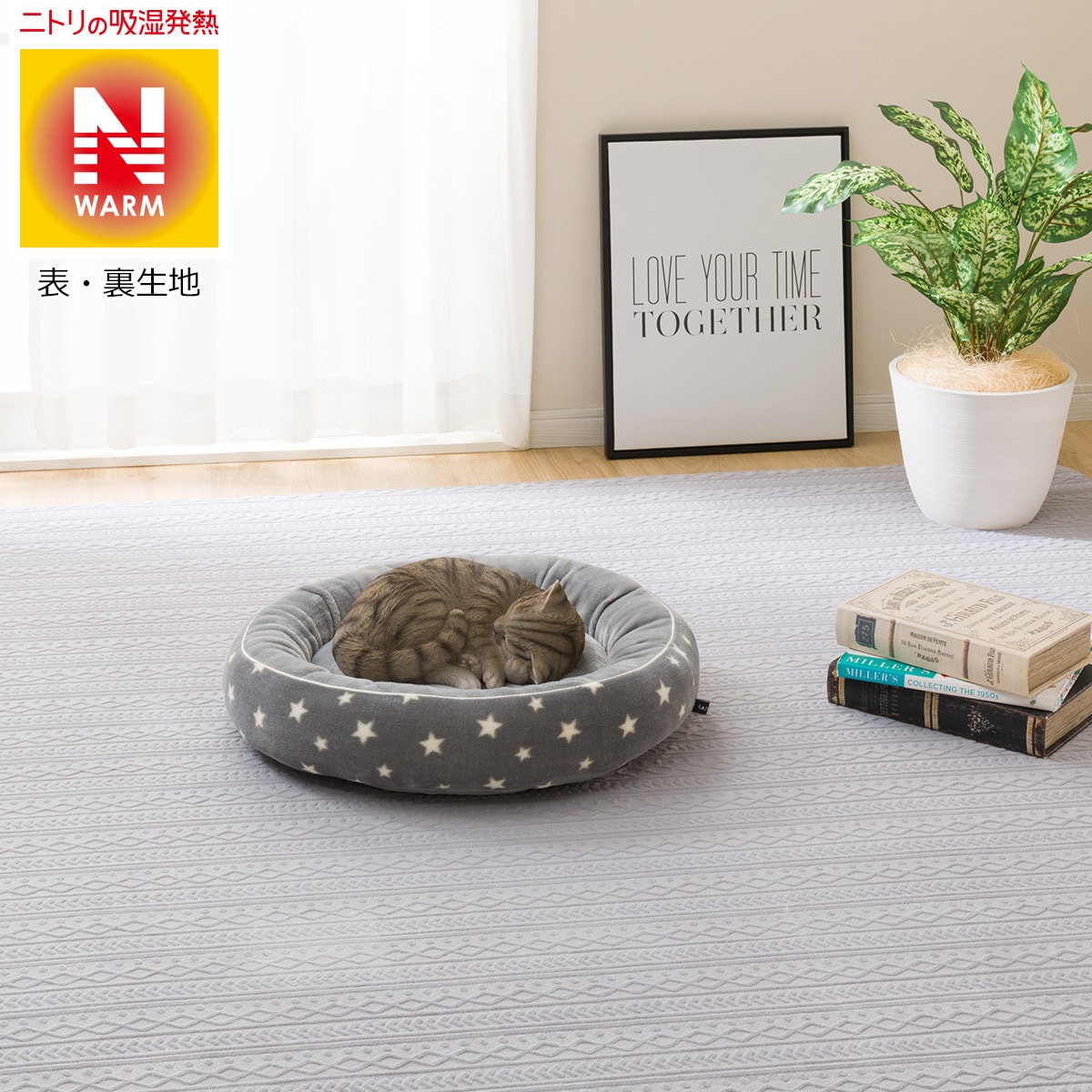 楽天市場 ペットベッド ｍ Nウォームo Iジオシカク M ニトリ 玄関先迄納品 1年保証 合計金額円以上送料無料対象商品 ニトリ