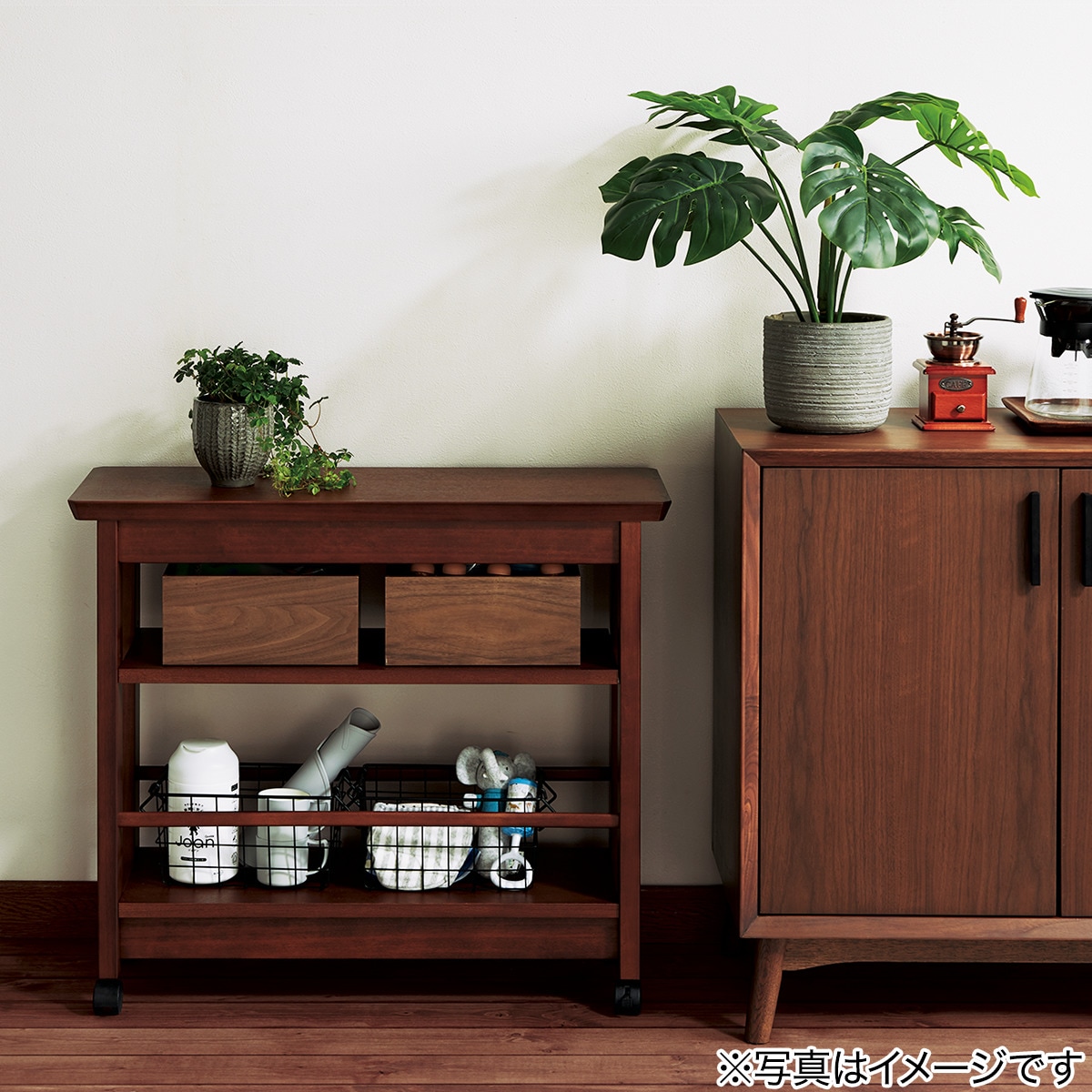 モンステラ70cm セメントポット ニトリ 【玄関先迄納品】