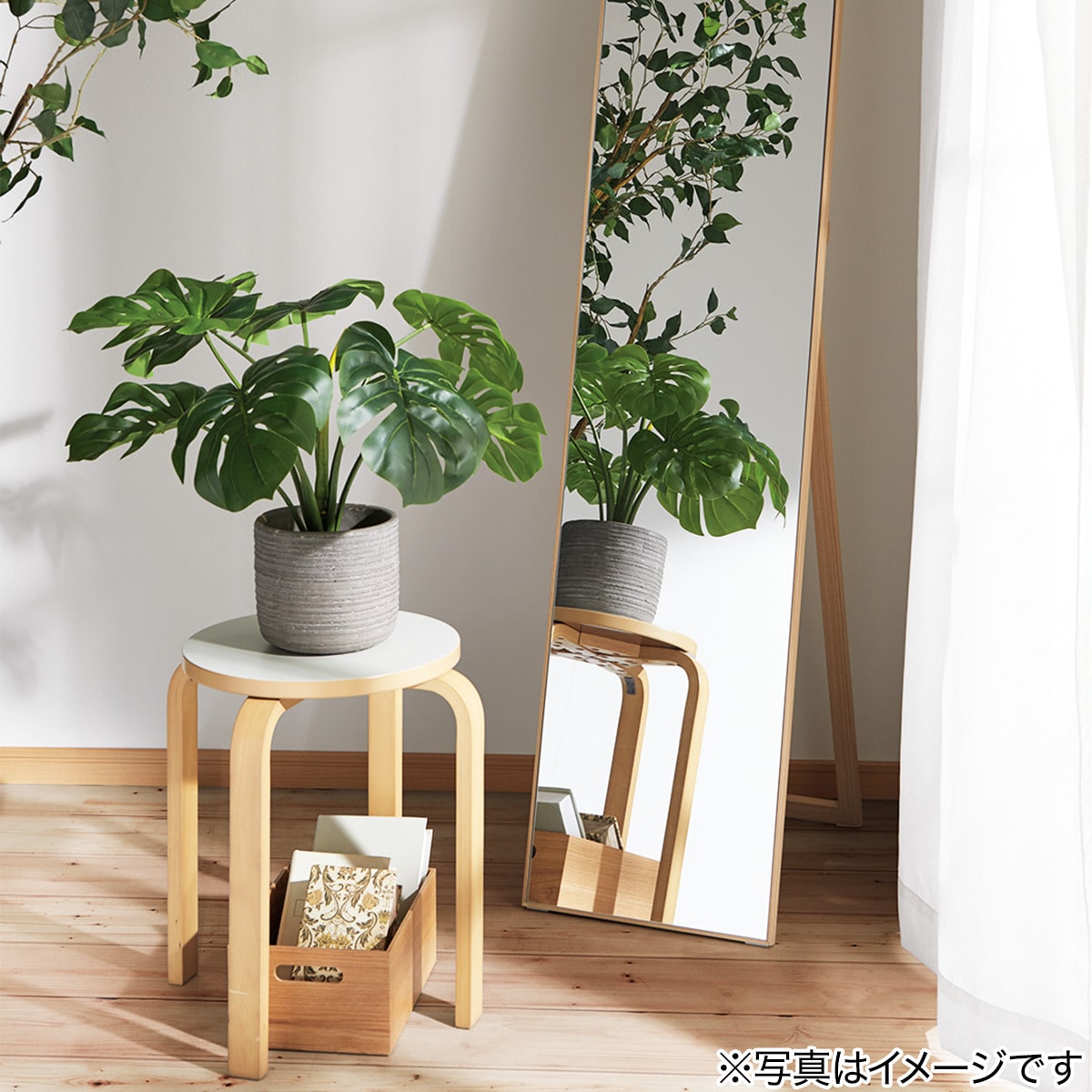 モンステラ70cm セメントポット ニトリ 【玄関先迄納品】