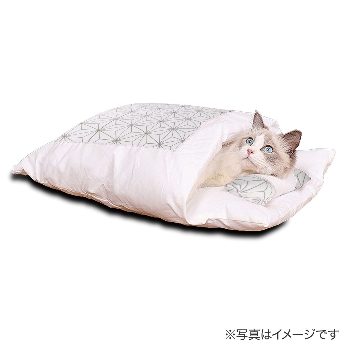 ねこさま限定　ニトリ 21Sz480ZcSL.jpg_BO30,255,255,