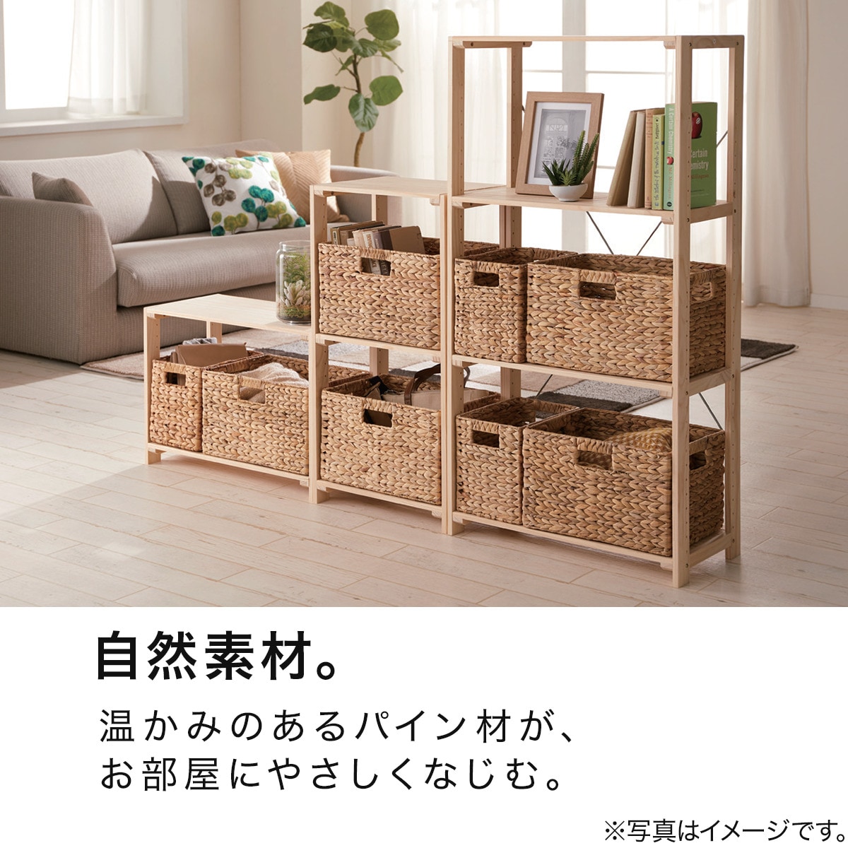幅61.5cm]パインラック マンクス6230 (1段) 【玄関先迄納品】 ニトリ