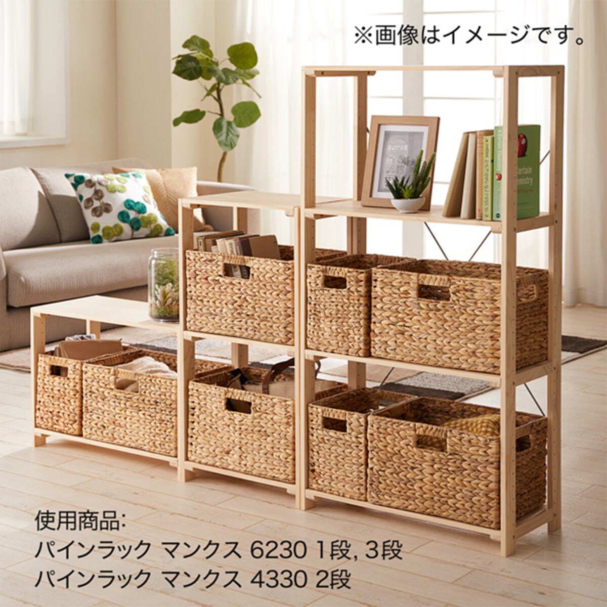 幅61.5cm]パインラック マンクス6230 (1段) ニトリ 【玄関先迄納品