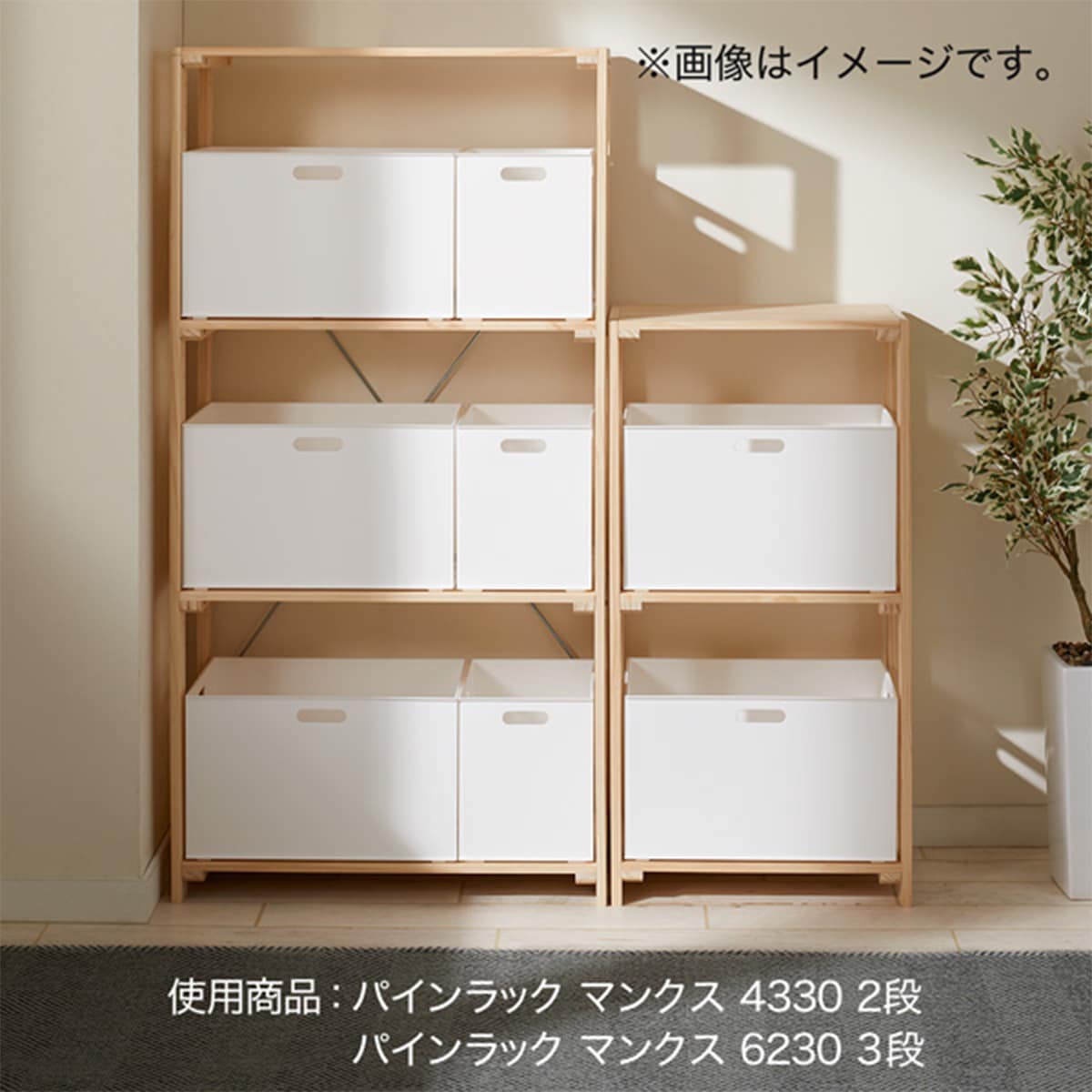 幅61.5cm]パインラック マンクス6230 (1段) 【玄関先迄納品】 ニトリ