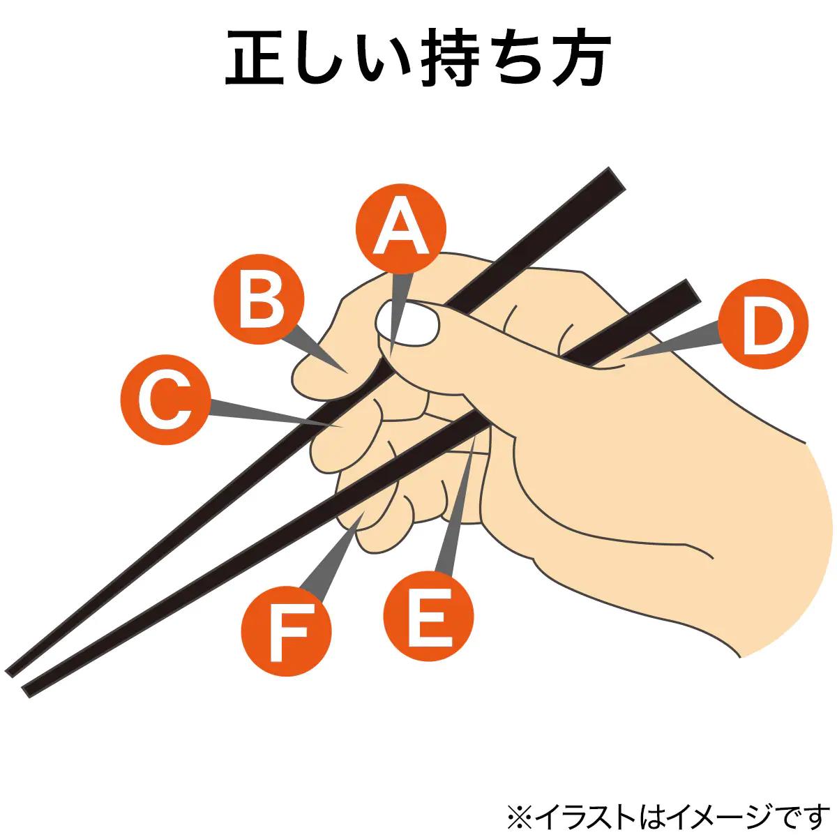 持ち方矯正３点支持箸 ブラック 合計金額円以上送料無料対象商品 ニトリ 好評 ニトリ