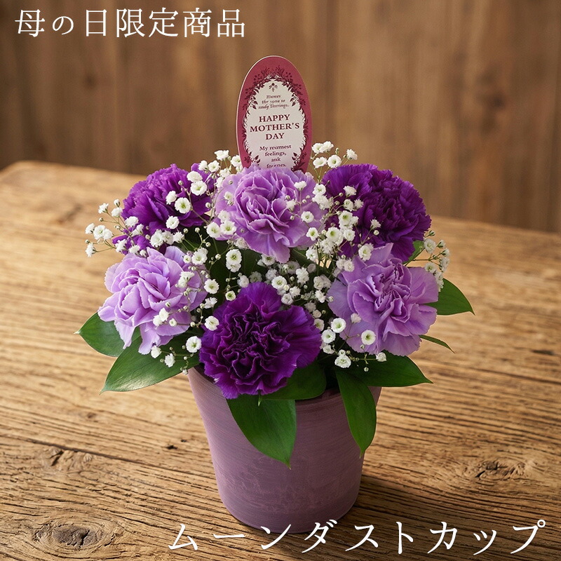 【母の日】ムーンダストカップ アレンジメント 数量限定 送料無料 カーネーション 紫 青い かすみ草 サプライズ ギフト プレゼント 生花 おすすめ 人気 高評価 評判 素敵 笑顔 おしゃれ お祝い 感謝 花 母 お母さん フラワーギフト■生花アレンジメント■
