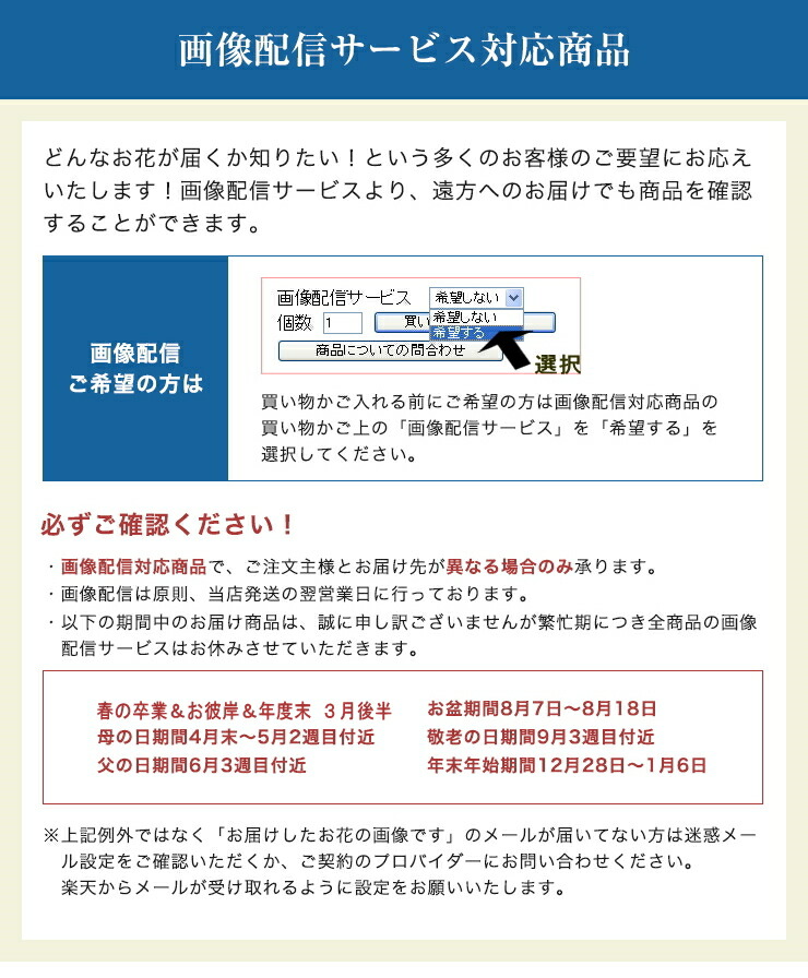 画像配信