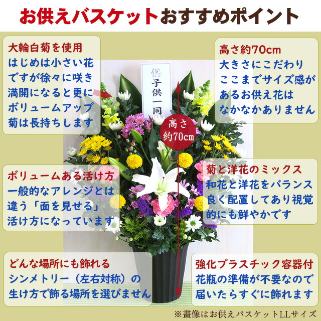 お悔やみ 供花 お供え あす楽 白菊 送料込 送料無料 アレンジメント 法事 初盆 お彼岸 フラワー アレンジ 洋花 枕花 容器付 菊 新盆 即日 花  盆花 和花 ユリ Cお供えバスケット 命日 周忌 花 花飾り 仏花 画像配信 大輪 バスケット お盆 和風 翌日配達 ボリューム
