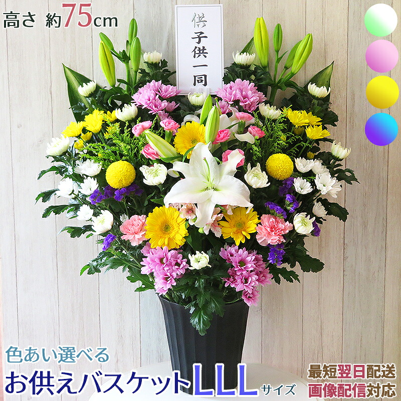供花 お供え 取り合わせる 枕花 命日 周忌 法事 仏花 花 菊 白菊 大輪 さ百合 申し合わせ お花 新盆 初盆 お大悟 花飾りつけ 花 盆花 和風 和花 洋花 即日 またの日送りとどける 貨物輸送無料 貨物輸送込 すがた絵配達 音の大きさ 容れもの付   ■お供え提げ篭LLL■