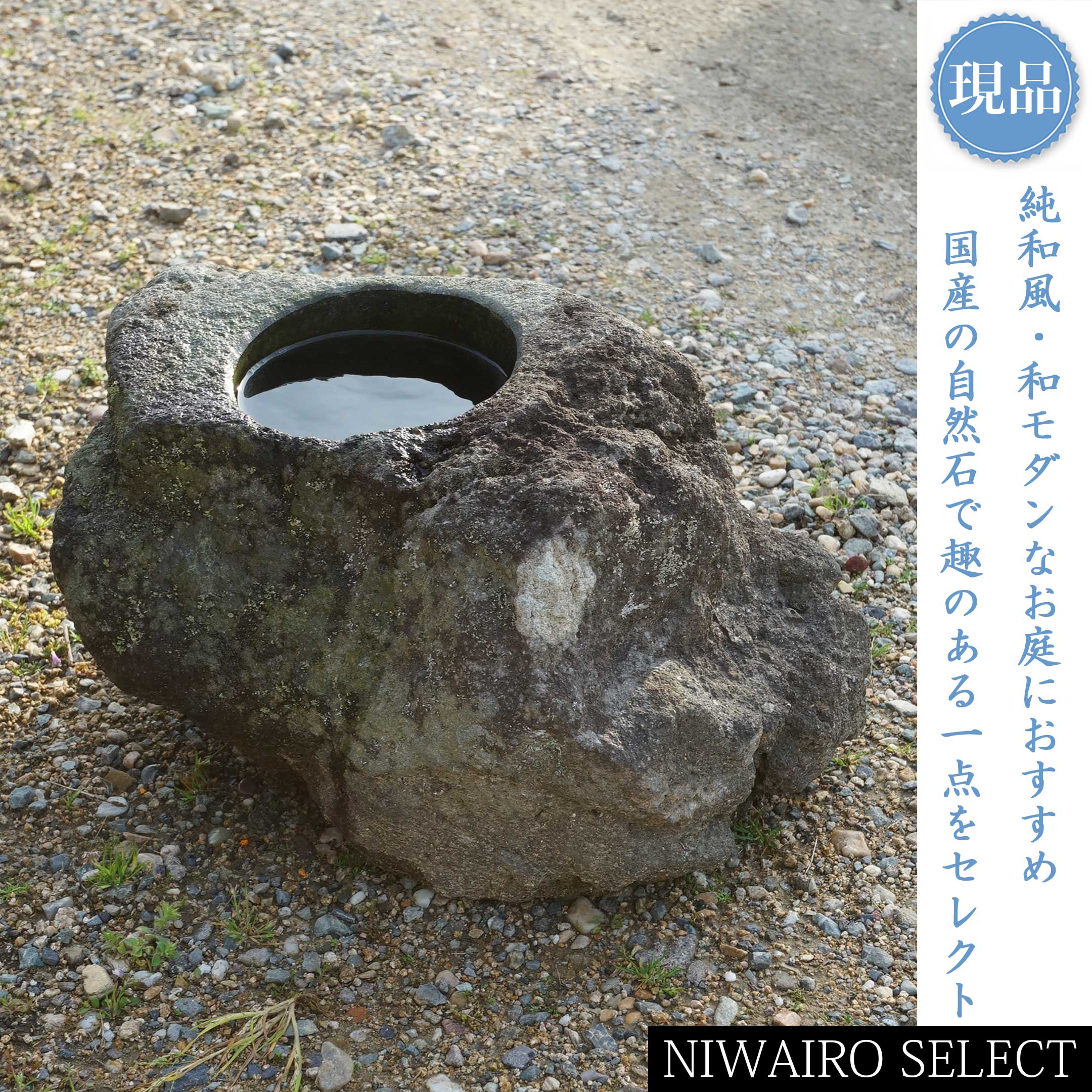 一般受け樹種