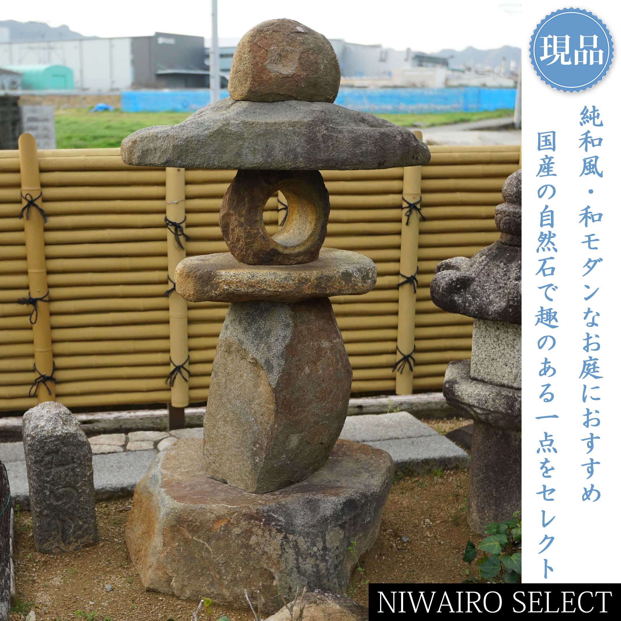 一般受け樹種