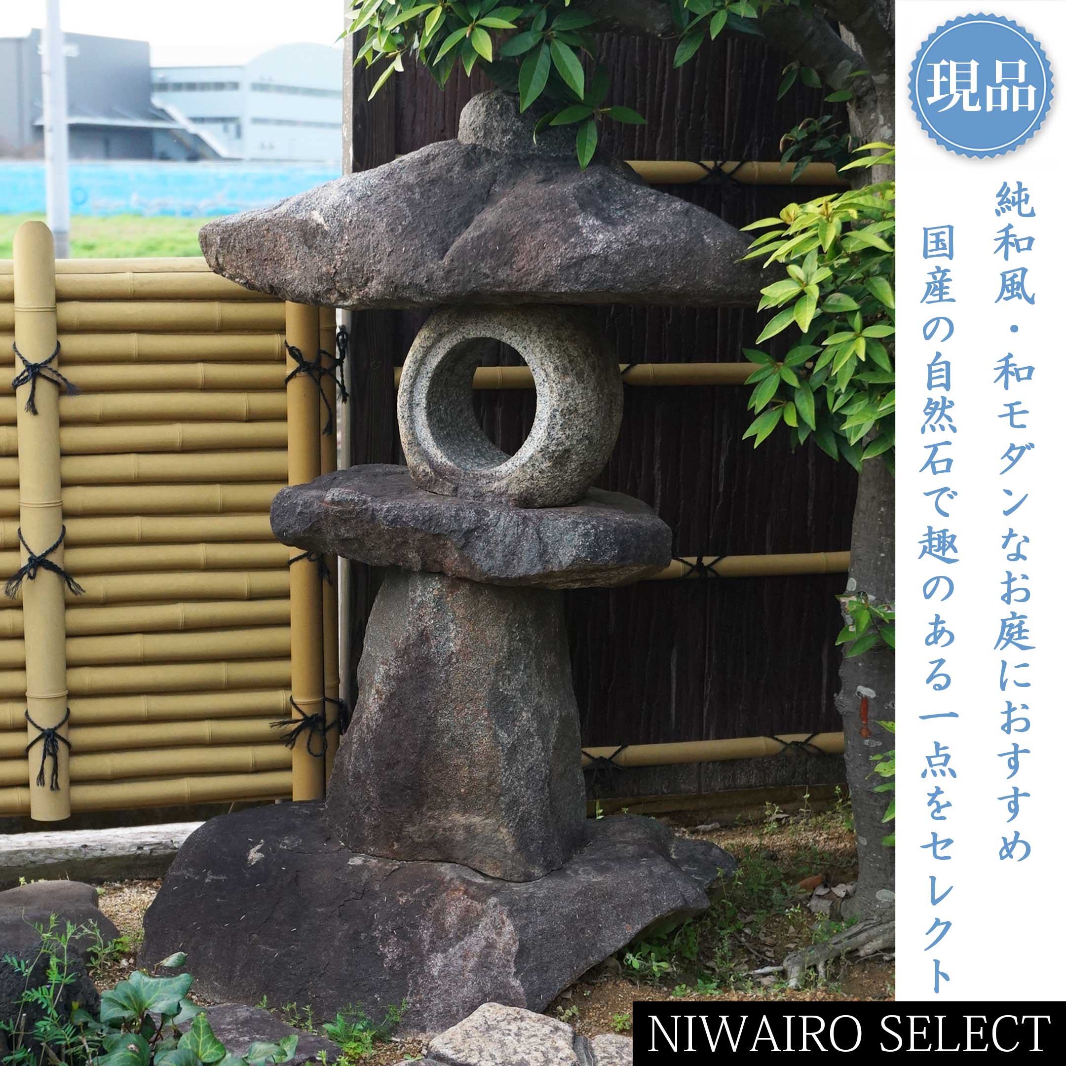 一般受け樹種
