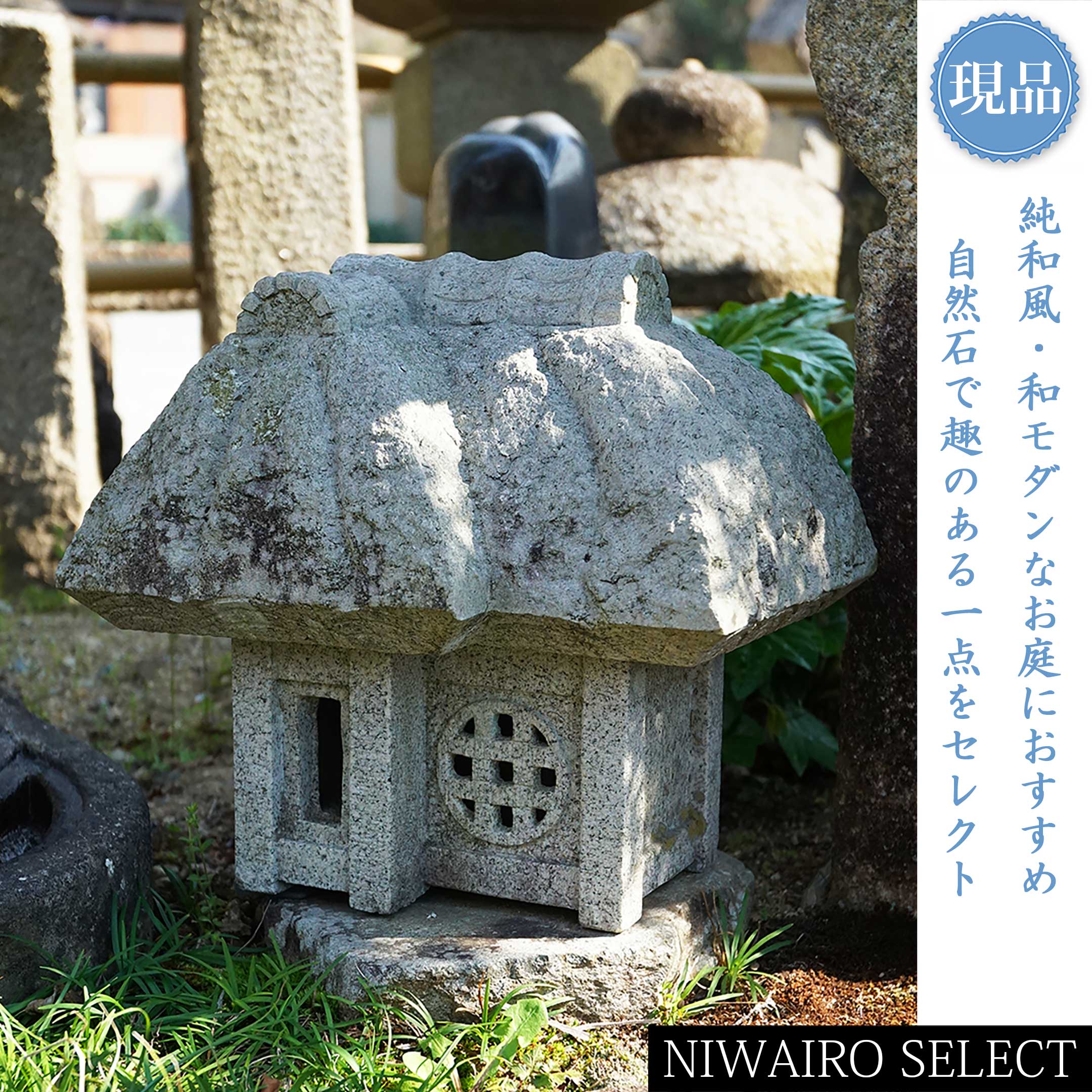 一般受け樹種