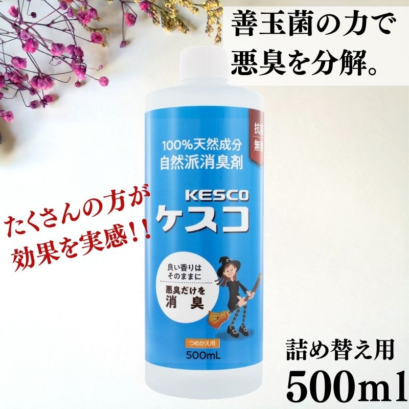 正式的 自然派消臭剤 ケスコゼリー 無香 165g 本体 無香料 置き型 靴 部屋 タバコ ゴミ箱 トイレ 加齢臭 ペット臭  discoversvg.com