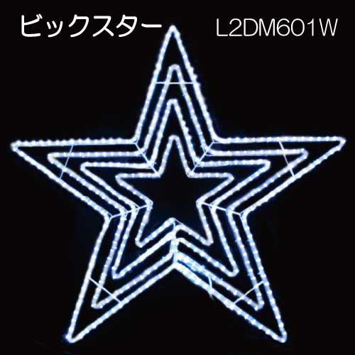 LED ビッグスター白色 L2DM601W/モチーフ イルミネーション/白色LED［L-850］【対応不可】【全品送料無料】｜2020