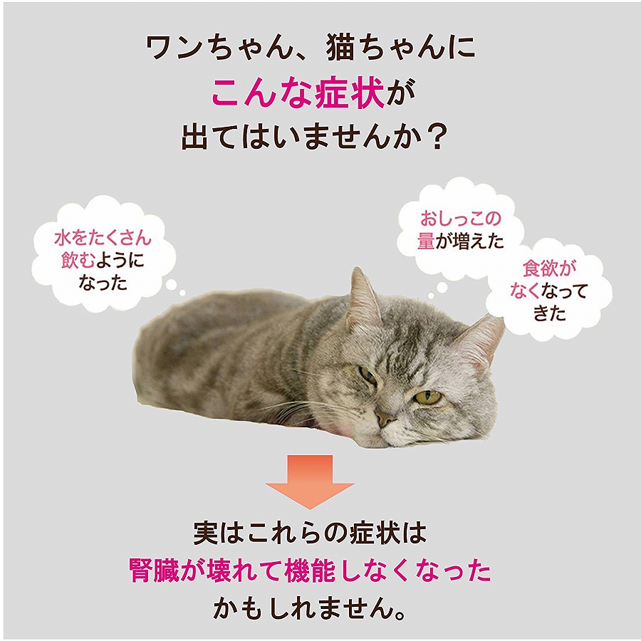 水素水 猫 H4o H4o ペット用 180本セット 猫 犬 送料無料 犬用 犬用 ペットウォーター 猫用 水素水 給水 飲ませ方ガイド付き H40 H4o H40 サニートレーディング ジャパン 犬 猫用水素水 土日祝日も無休で出荷 ワンちゃん 猫ちゃん 用 水素水 お試し 水