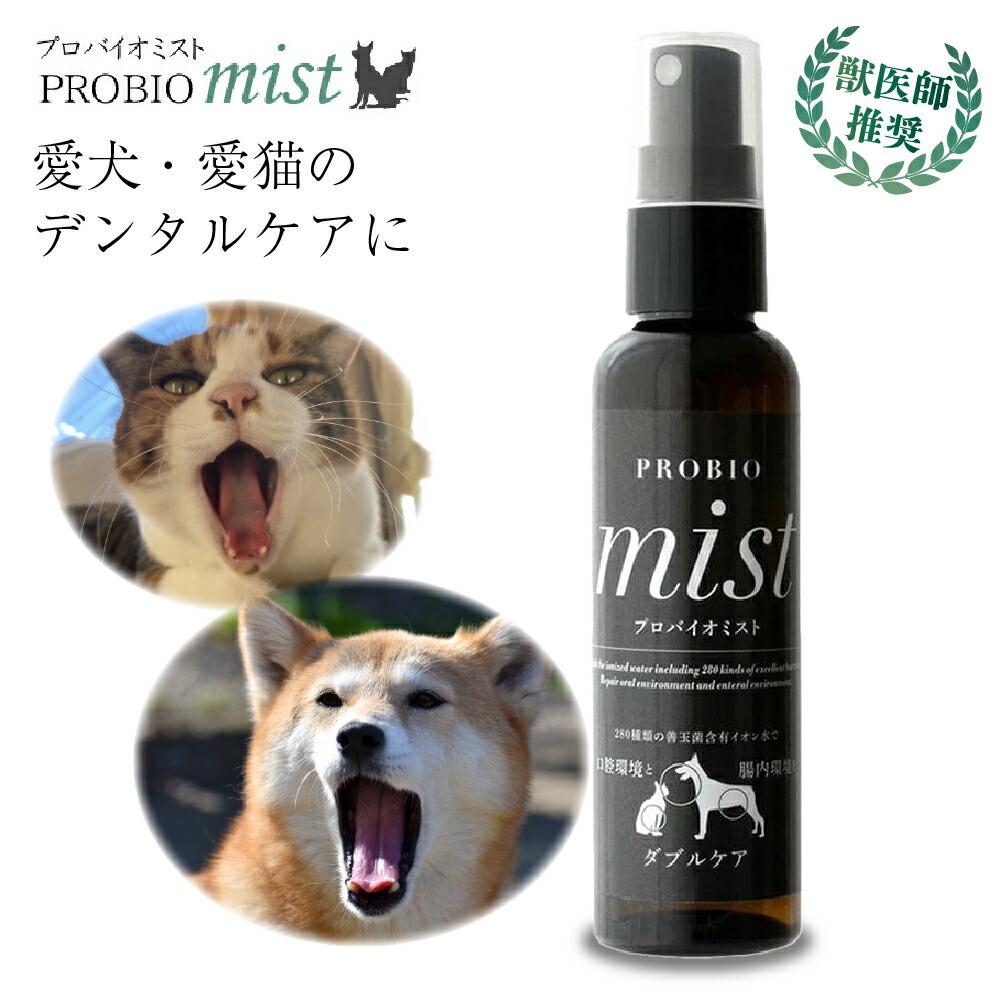 楽天市場】マジックミスト 1000ml 詰替用 2本セット【Magic Mist