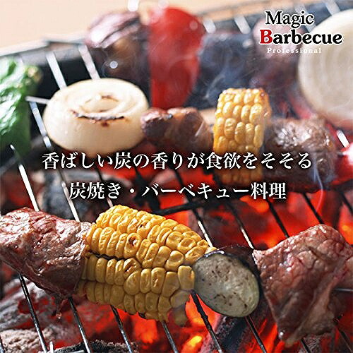 楽天市場 マジックバーベキュー スミヤキ ロゴス 炭焼き パウダー 送料無料 250g 炭焼き 調味料 サニートレーディング ジャパン