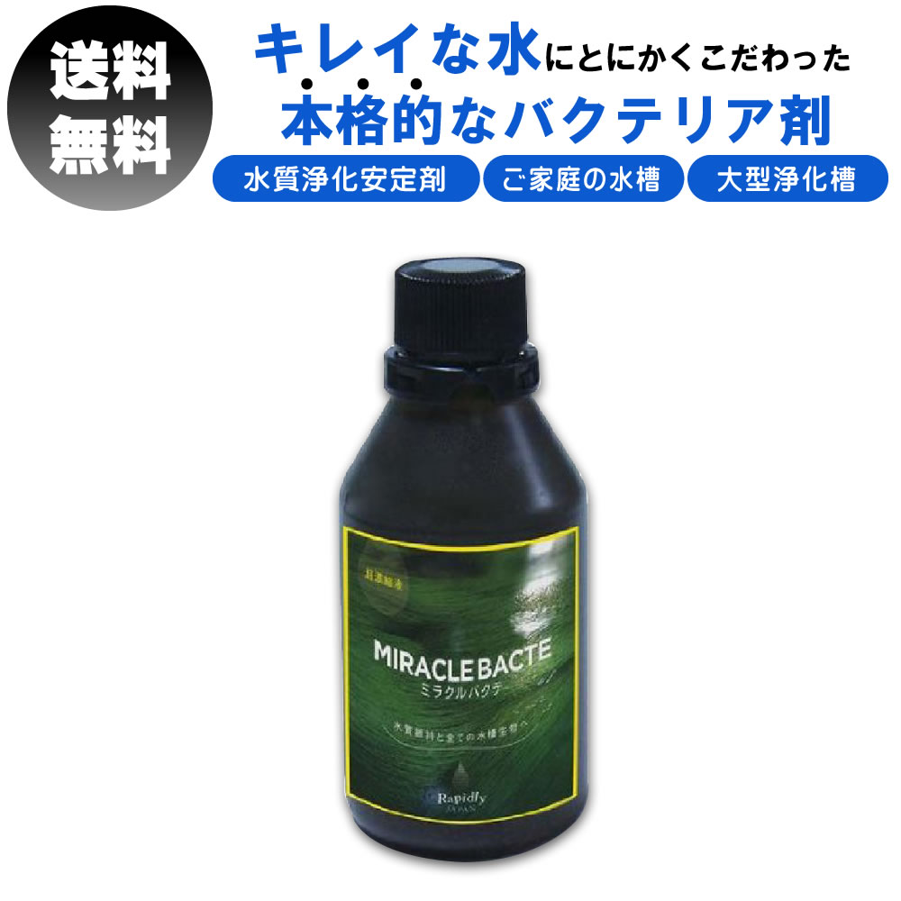 楽天市場 送料無料 ミラクルバクテ 100ml バクテリア剤 液体タイプ 観賞魚の水質浄化安定剤 熱帯魚 観賞魚 養殖魚 海水魚 淡水魚 川魚 金魚 めだか メダカ らんちゅう バクテリア 水槽 浄化槽 水質改善 浄化 消臭 飼育水 ラピッドリ ジャパン サニートレーディング