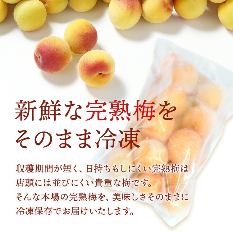紀州南高梅　大粒10kg（和歌山産）農家直送 紀州南高梅 大粒10kg（和歌山産）農家直送