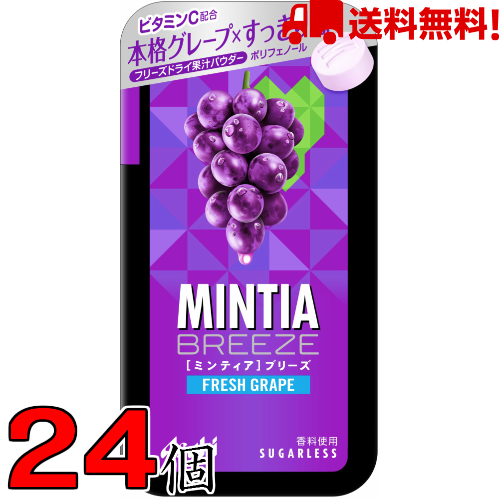 【楽天市場】ミンティアブリーズクリスタルシルバー 30粒 16個 アサヒ MINTIA【日本全国送料無料】ネコポス（配送日時指定不可） : なかみせ  楽天市場店