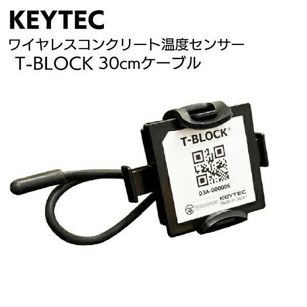 KEYTEC ワイヤレスコンクリート温度センサー T-BLOCK 30cmケーブル<コンクリートの硬化・温度・養生状態測定>|NKSERVICE 店