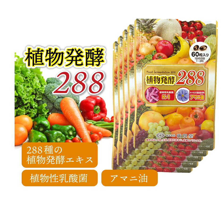 植物発酵 288 5個セット ダイエット サプリ 乳酸菌 アマニ油 オメガ３ 植物栄養 発酵 サプリメント 腸活 減肥 サプリメント ビタミン ミネラル｜ナチュラルライフシロクマ