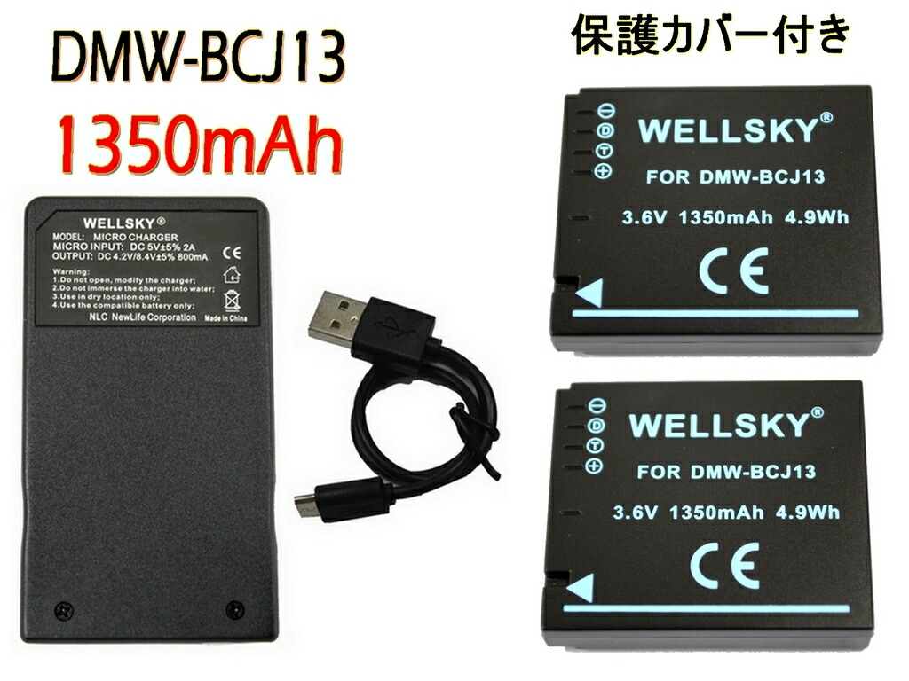 LEICA - ライカ c 充電器付き 中古】Leica ライカ BC-SCL6 USB-C Power set（16201 18828