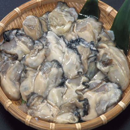 【送料無料】殻付！能登中島名産牡蠣　半斗缶（たっぷり約40～50個）　【牡蠣鍋　カキフライ　他　いろいろ】牡蠣ナイフ付き！