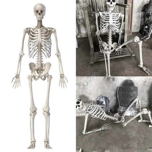 ☆等身大サイズ☆ リアルな見た目 人体模型 骨格標本 約170cm 骸骨 ドクロ スケルトン ハロウィン ホラー