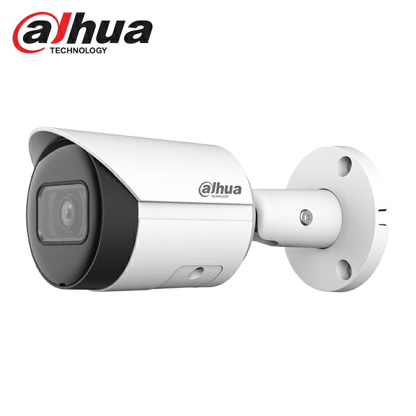 [DAHUA][IP-2M] 知能型 AI/IPC-HFW2230S-S-S2/逆光,露出,ハイライト補正/夜間30M/Smart H.265+/PoE/防水/SDカード装着可能｜NO1CCTV