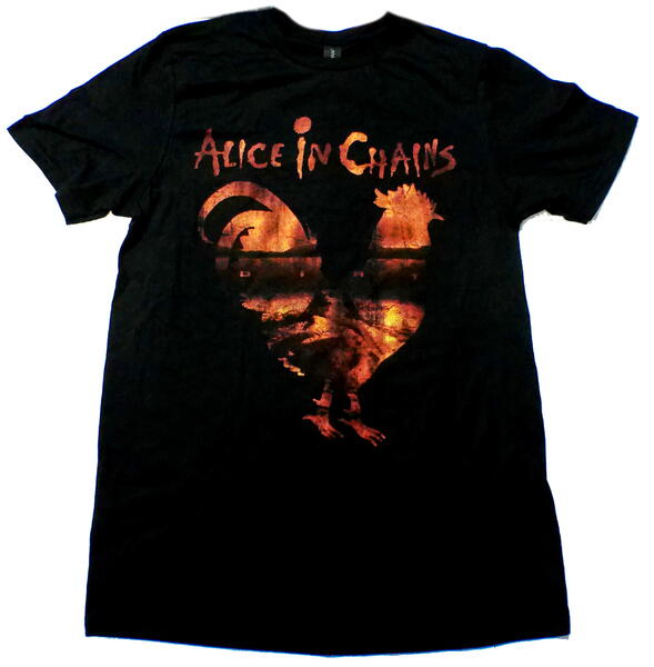ALICE IN CHAINS DIRT バンドTシャツ　アリスインチェインズ imgrc0147775713.jpg