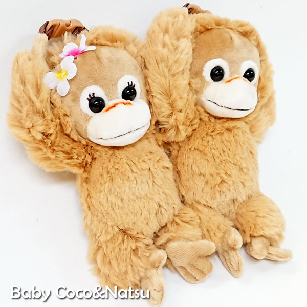 楽天市場 送料無料 ベイビーココ ナツ ぬいぐるみ Mサイズ 2体セット トイスタジアム1号店